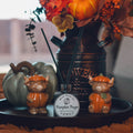 Pumpkin Pages 6 oz reed diffuser with warm pumpkin, cinnamon, vanilla, and buttery pie crust fragrance