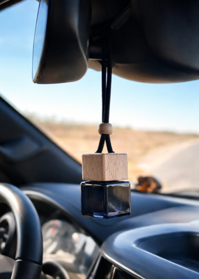 Coastal Shores Car Diffuser